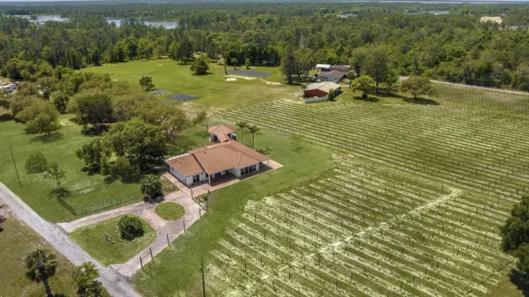 A bird's view of the entire Vineyard & the Villa